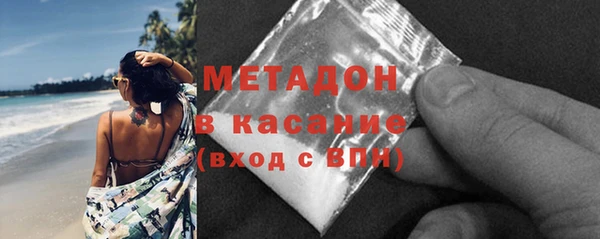 сатива Коряжма