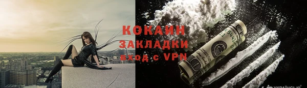 сатива Коряжма