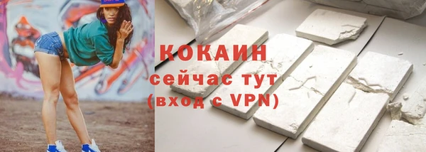 сатива Коряжма