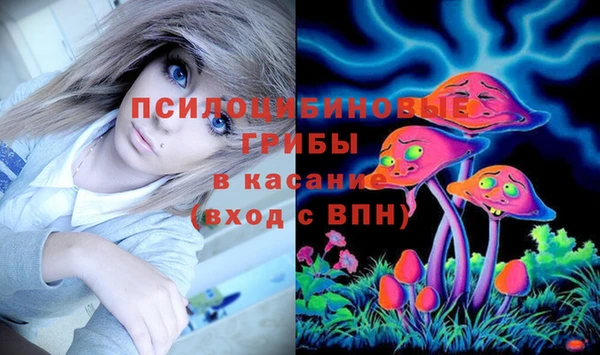 сатива Коряжма