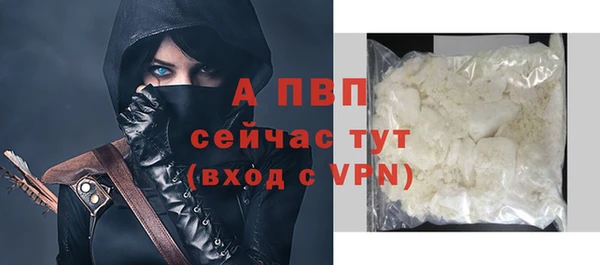 сатива Коряжма