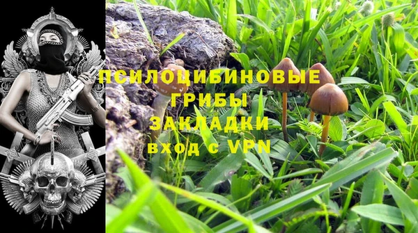 альфа пвп Корсаков