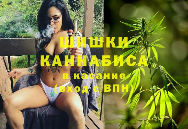 сатива Коряжма