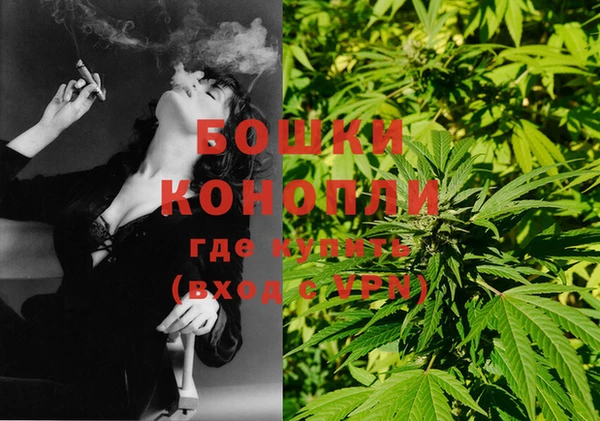 сатива Коряжма
