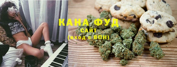 сатива Коряжма