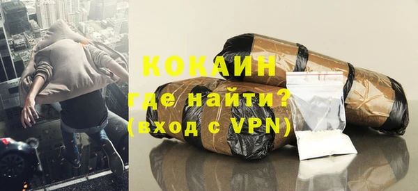 сатива Коряжма