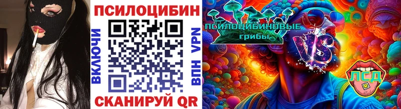 Псилоцибиновые грибы ЛСД  Купить  Кологрив 