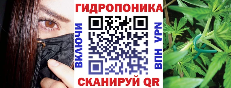 Купить  Кологрив  Канабис сатива 